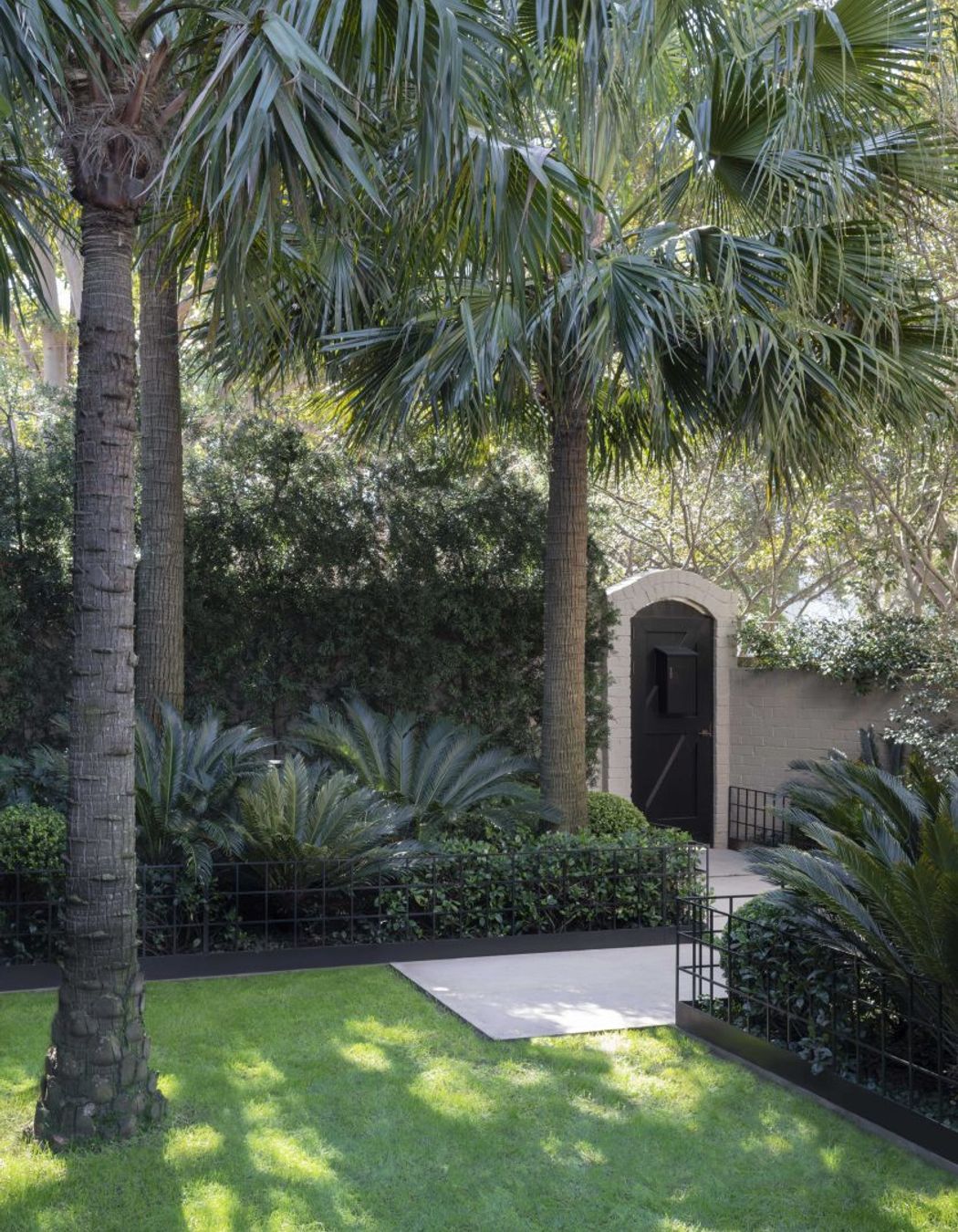 Double Bay Courtyard