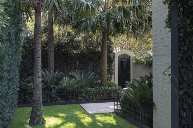 A lush, secluded landscaped courtyard or garden pathway framed by tall palm trees, dense foliage, sculptural cycads, clipped lawn, and dark metal edging. A narrow paved path leads to a dark entry door set in a pale rendered or painted masonry wall, with a pale brick building edge and climbing greenery visible at right.