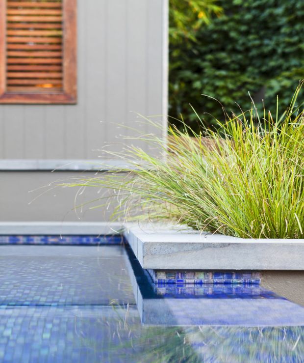 Close-up architectural detail of a compact reflective pool with blue mosaic tile lining and stepped water features beside a raised concrete planter filled with ornamental grasses. A grey-clad exterior wall with a timber louvred window screen forms the backdrop, creating a contemporary landscaped courtyard composition.