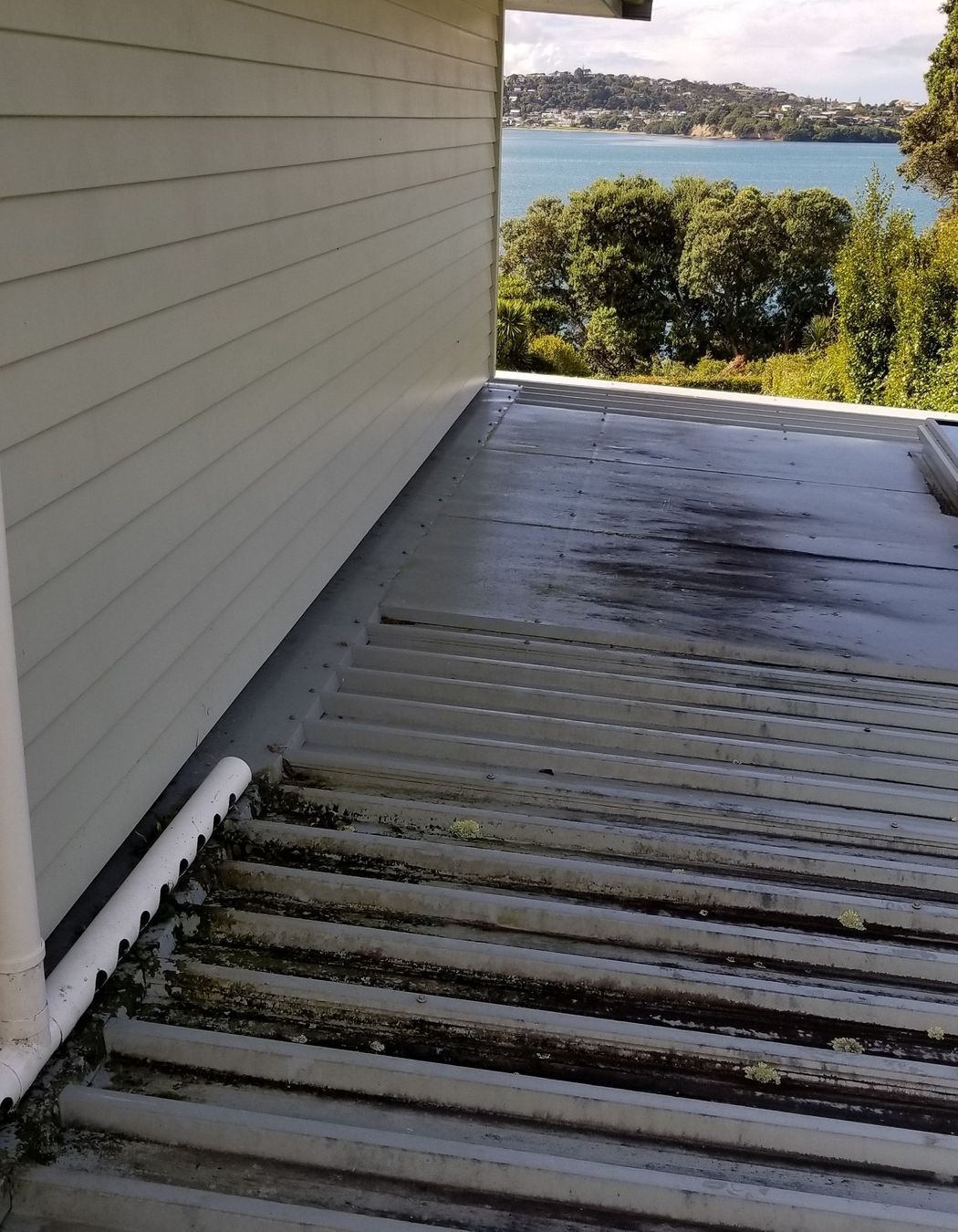 Before and After Photos