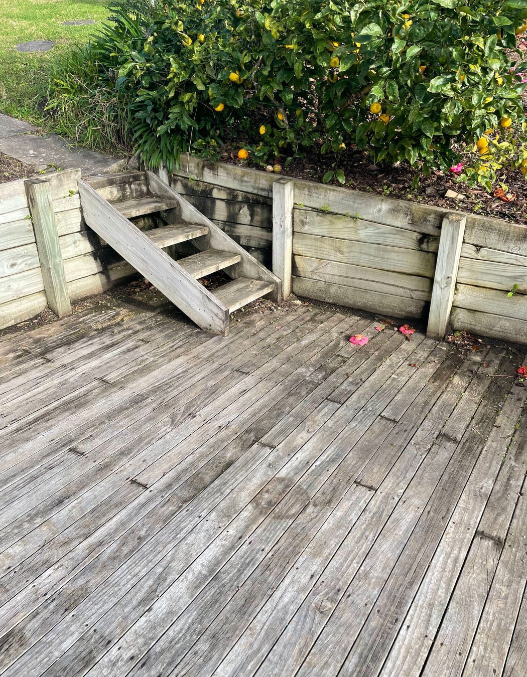 Before and After Photos