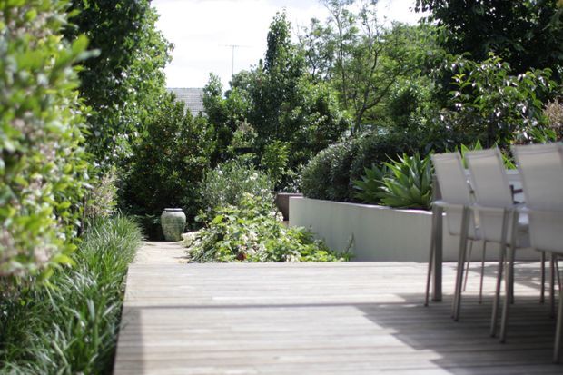 A lush landscaped garden viewed from a timber deck, with a narrow garden path winding through dense planting, raised rendered planters, and outdoor dining furniture at the right. The scene is bright and leafy with a relaxed residential outdoor setting.