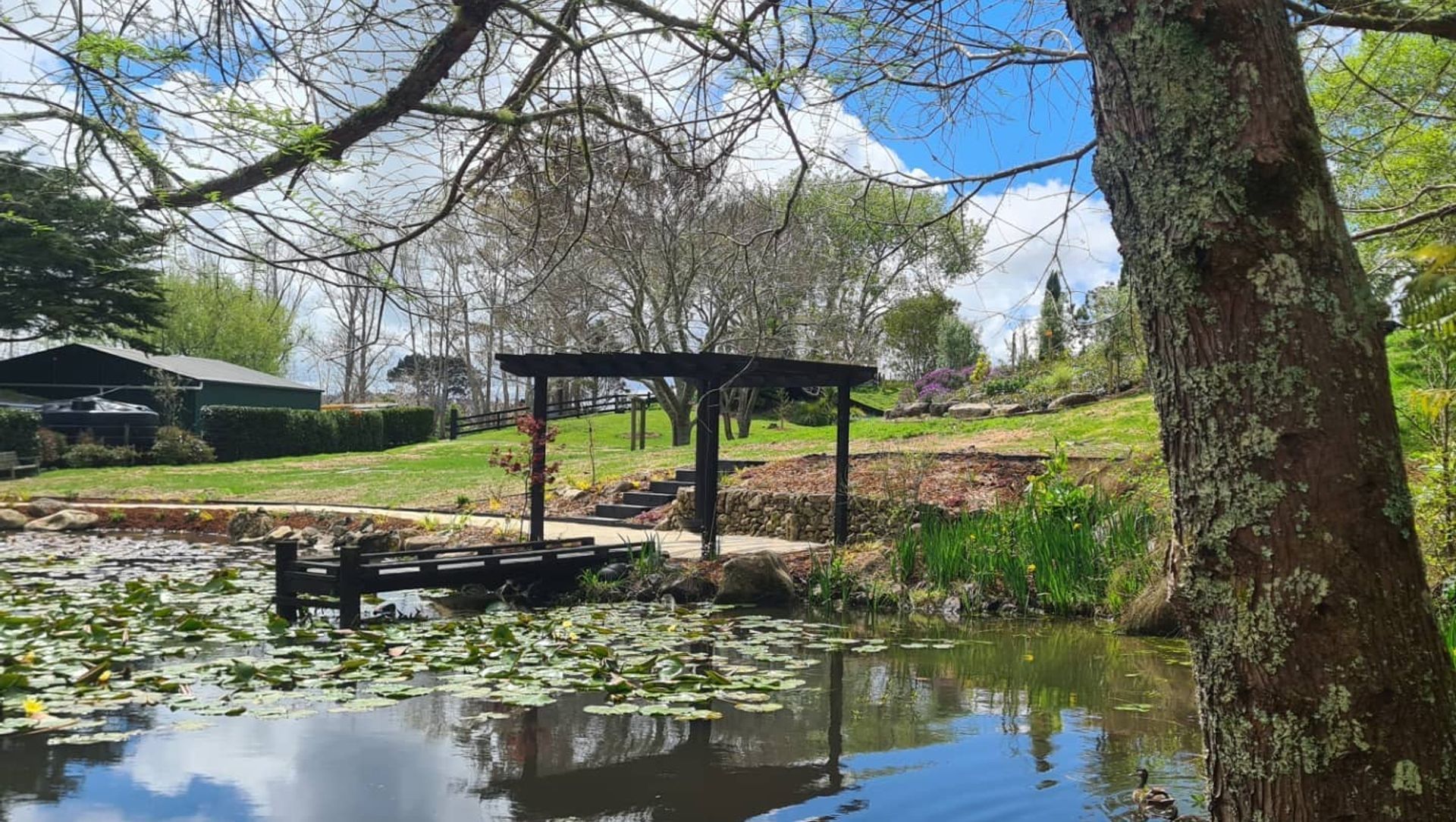 Pond Tranquillity banner