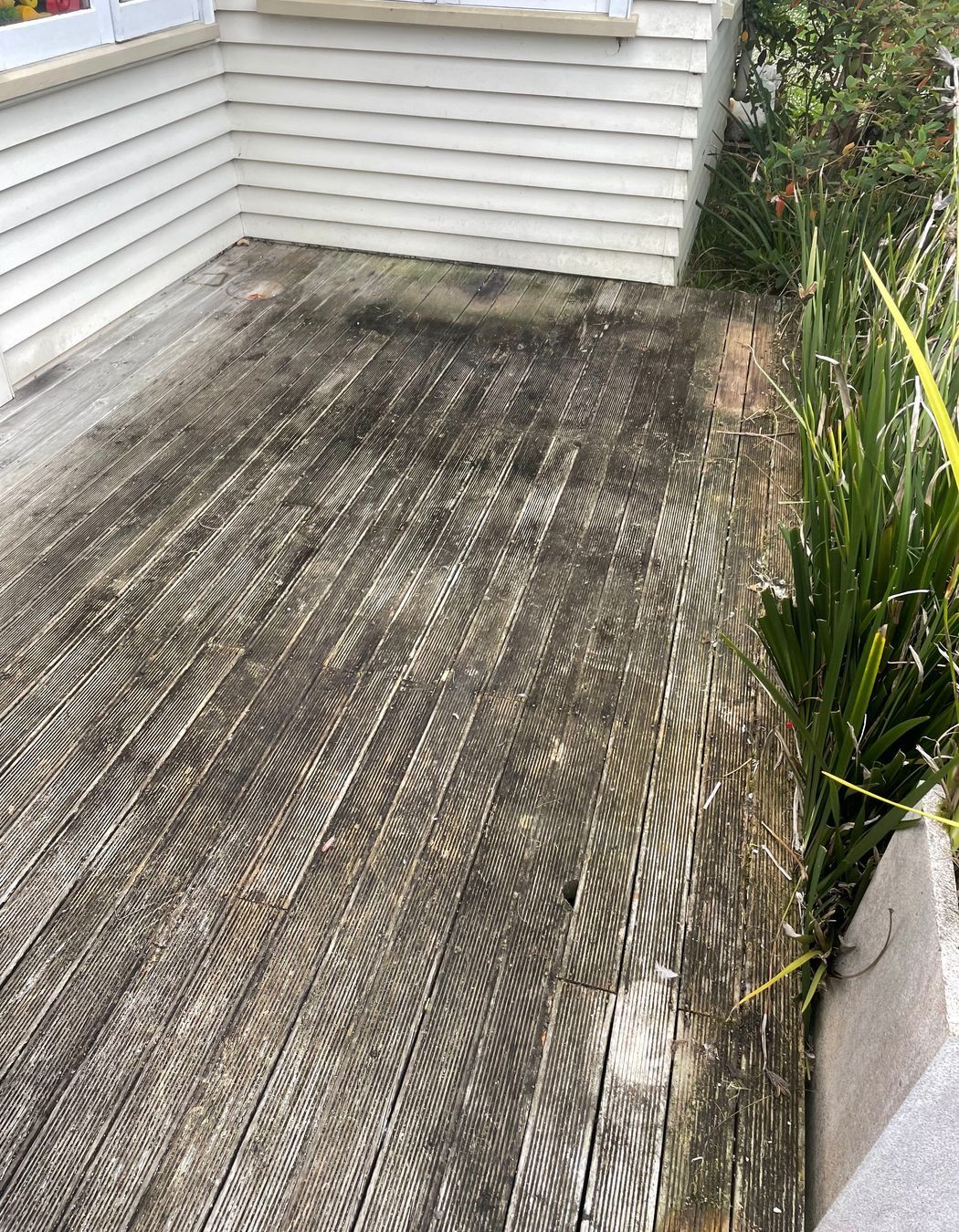 Before and After Photos