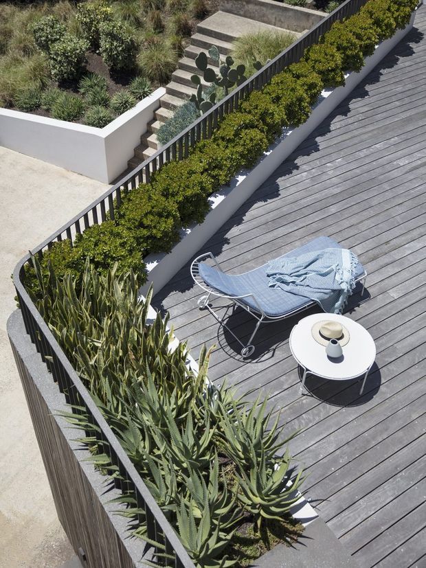 Elevated view of a landscaped outdoor terrace with grey timber decking, curved black metal balustrades, built-in planter beds filled with drought-tolerant succulents and grasses, and a small seating area with a blue sling lounge chair and round white side table. Concrete steps connect to a higher planted level.