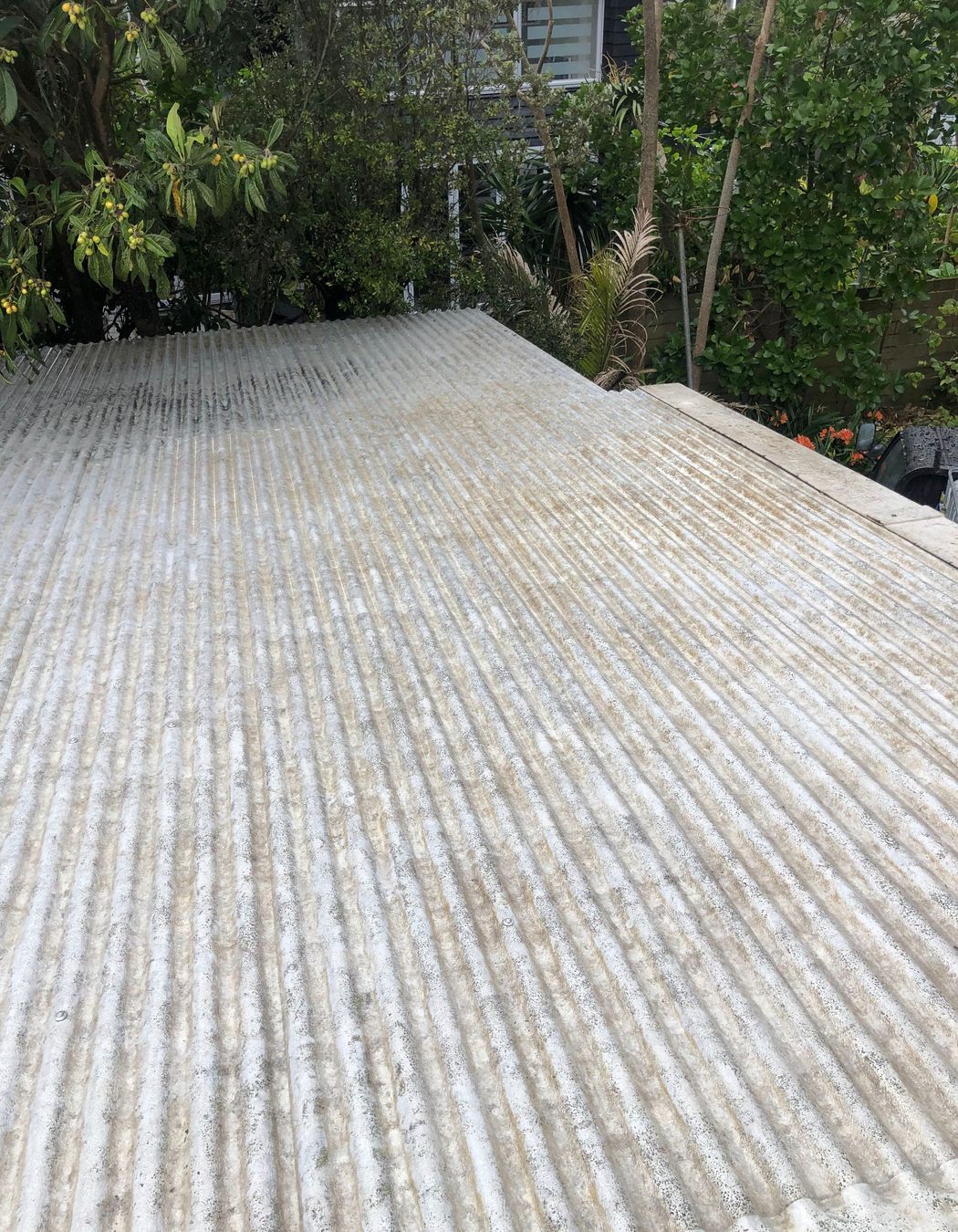 Before and After Photos