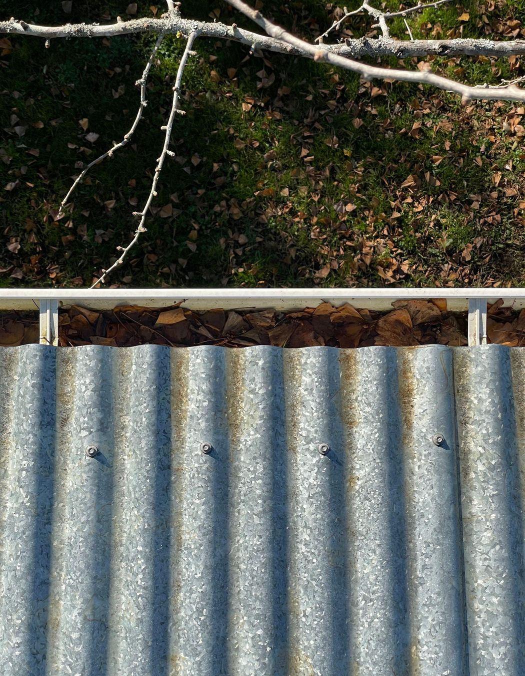 Before and After Photos