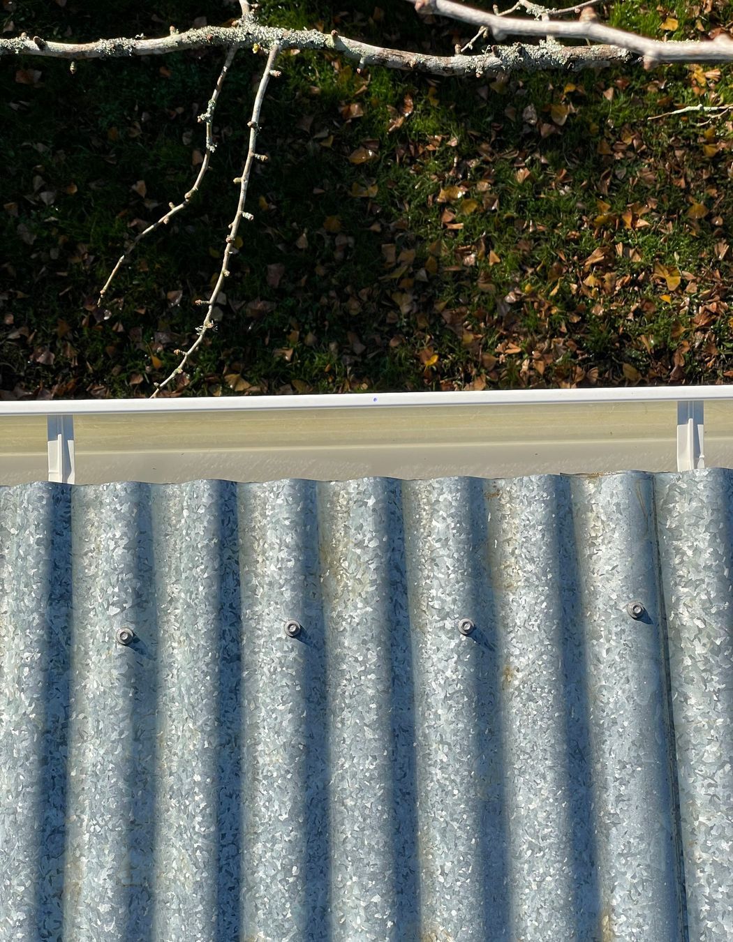 Before and After Photos