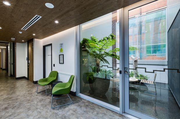 A contemporary commercial interior corridor or reception area with two bright green lounge chairs, a wood-look ceiling, polished concrete-style flooring, and full-height glazed doors opening to a small planted courtyard or lightwell. Black-framed doors and glazing, integrated downlights, and exposed indoor greenery create a modern workplace atmosphere.