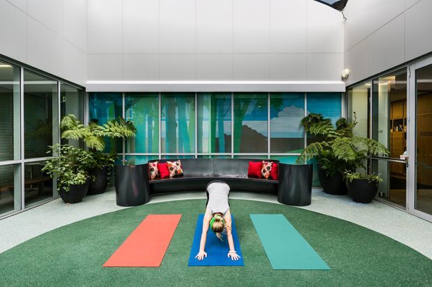 A bright contemporary indoor courtyard or wellness area with full-height glazing, white wall panels, and a curved black built-in bench. Large potted plants surround colourful yoga mats, while a person practices yoga in the centre. A vivid forest-themed mural or printed glazing forms the backdrop, and adjoining glazed rooms are visible on either side.