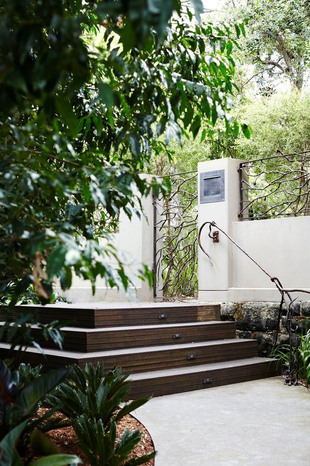 A landscaped outdoor entryway with broad timber-clad steps leading to a pale rendered wall and metal gate. The steps include integrated rectangular lights, while organic branch-like metalwork forms the gate and railing. Dense green planting surrounds the concrete path, creating a secluded garden approach.