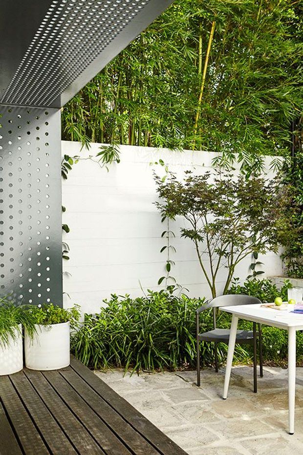 A landscaped private courtyard or outdoor terrace with dense bamboo screening, a white rendered masonry wall, built-in planting beds, and a timber deck beside pale stone paving. A perforated metal overhead and side structure creates a contemporary sheltered feature, while a small outdoor dining table and chairs occupy the paved area.