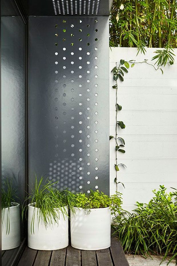 A compact landscaped outdoor courtyard or patio beside a dark glazed wall. White cylindrical planters filled with lush grasses and leafy plants sit on a timber deck, next to a perforated dark metal privacy screen and a white rendered masonry wall with climbing greenery. The image has a contemporary, refined garden design with strong contrasting black, white and green tones.