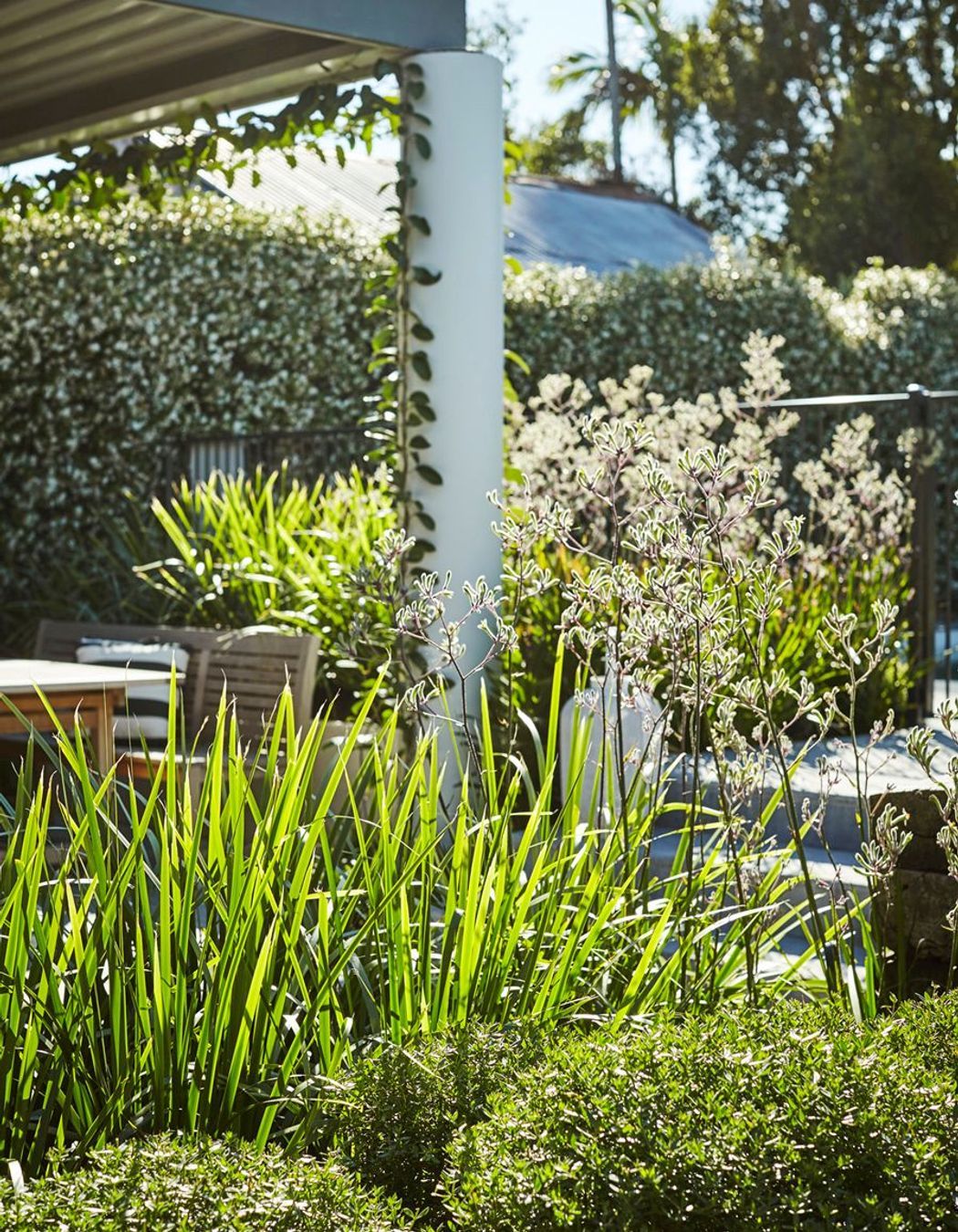 Photography: Natalie Hunfalvay