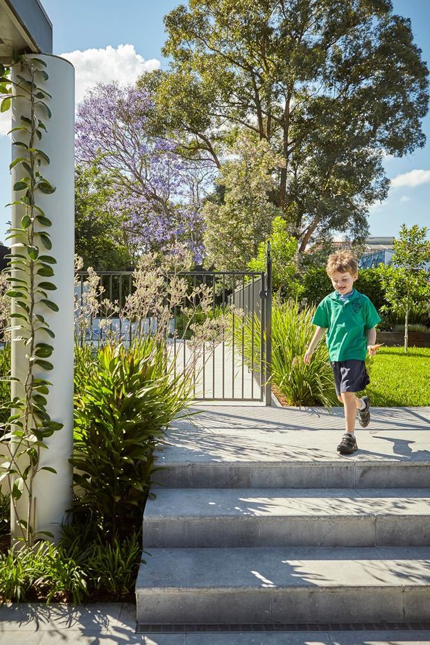A bright landscaped residential entry with broad concrete steps leading through a metal gate and garden. Lush planting, mature trees, and a curved white building wall frame the walkway; a child is walking down the steps. The scene has a sunny, contemporary outdoor character.