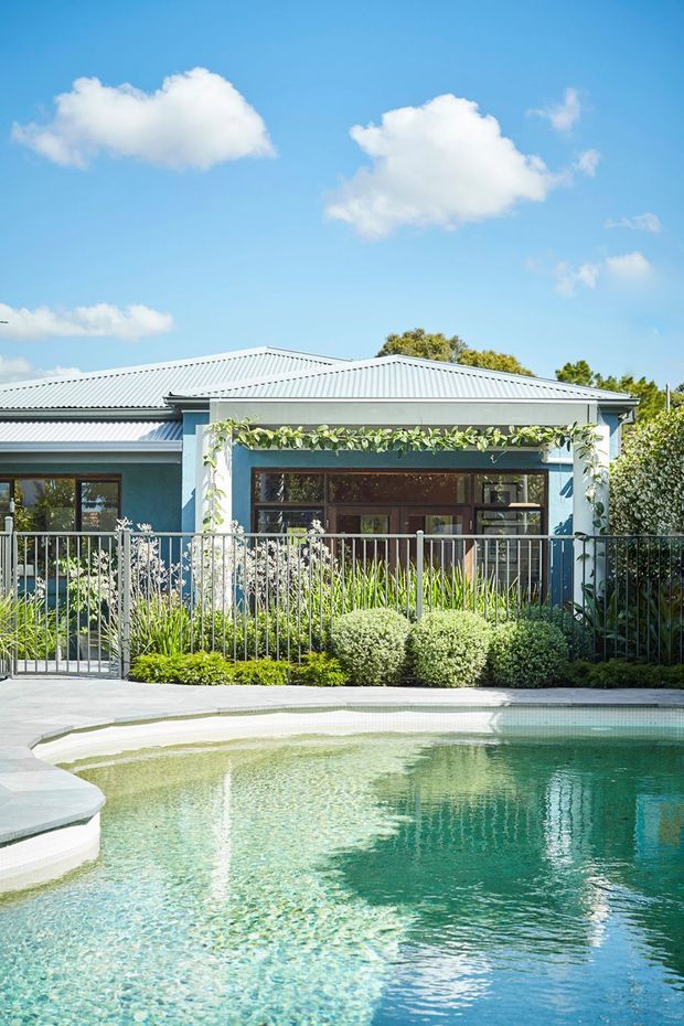 Sunny exterior view of a single-storey residential building with a pale blue facade, corrugated metal gabled roof, broad glazed openings, and a vine-covered veranda or entry structure. A landscaped garden with metal fencing sits between the building and a curved swimming pool in the foreground.
