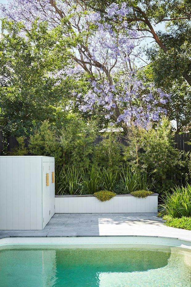 A bright landscaped backyard pool area with turquoise water, pale tiled paving, raised white garden beds, dense greenery, and a flowering jacaranda tree. A white vertical-panel pool house or storage structure sits beside the pool, with dark boundary fencing behind the planting. The scene has a clean, contemporary outdoor design.