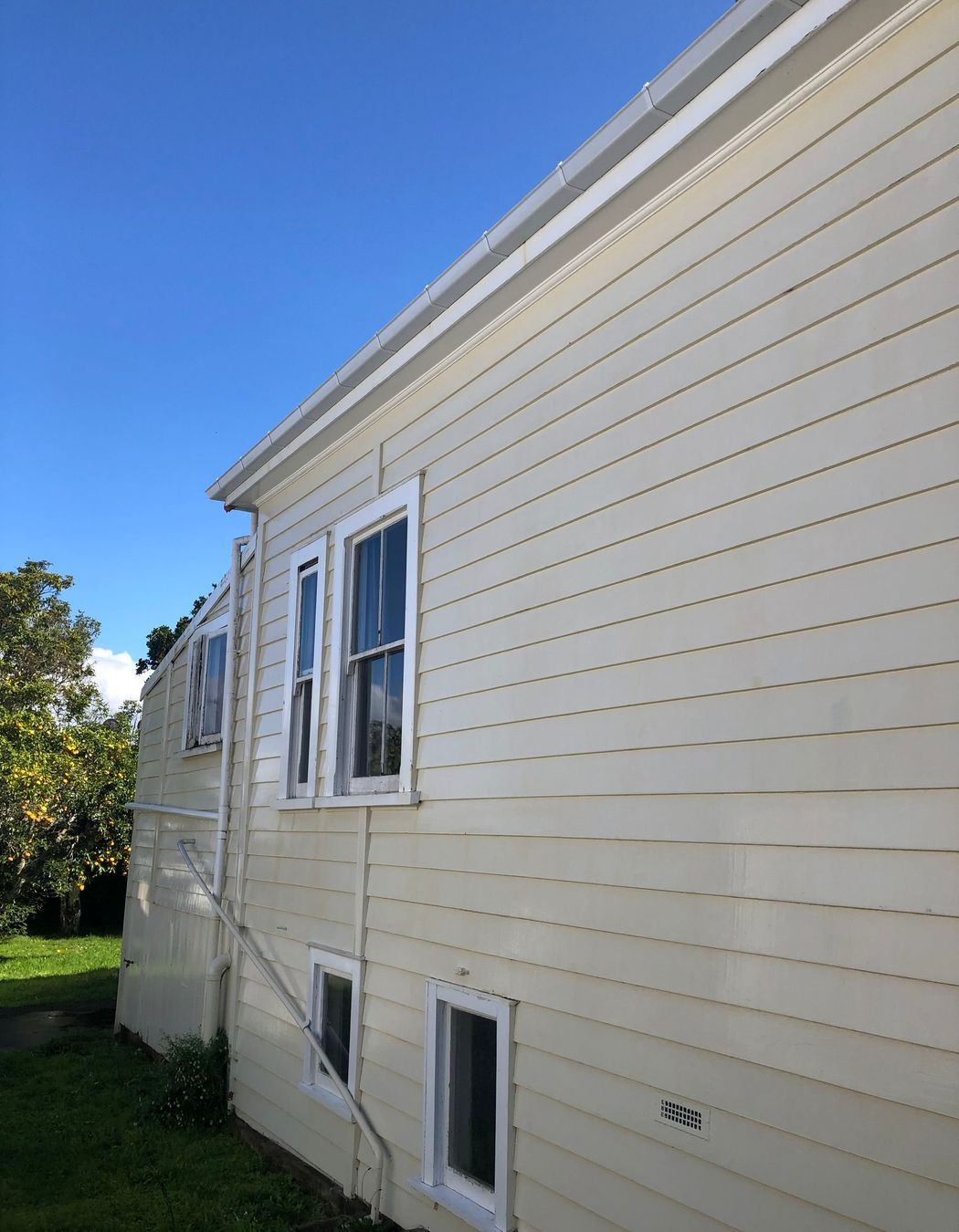 Before and After Photos