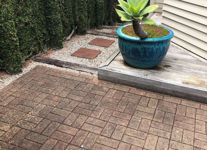 Before and After Photos