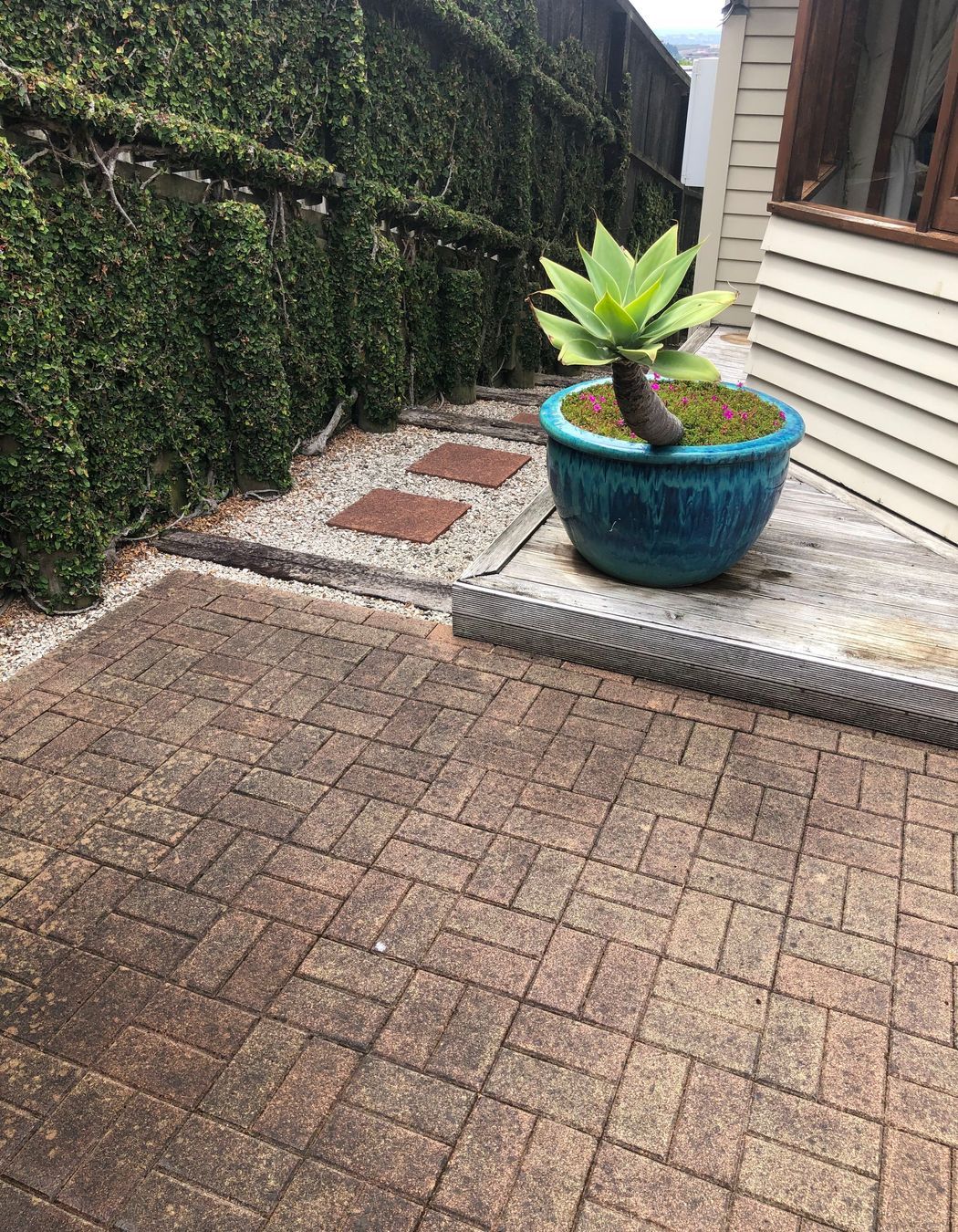 Before and After Photos