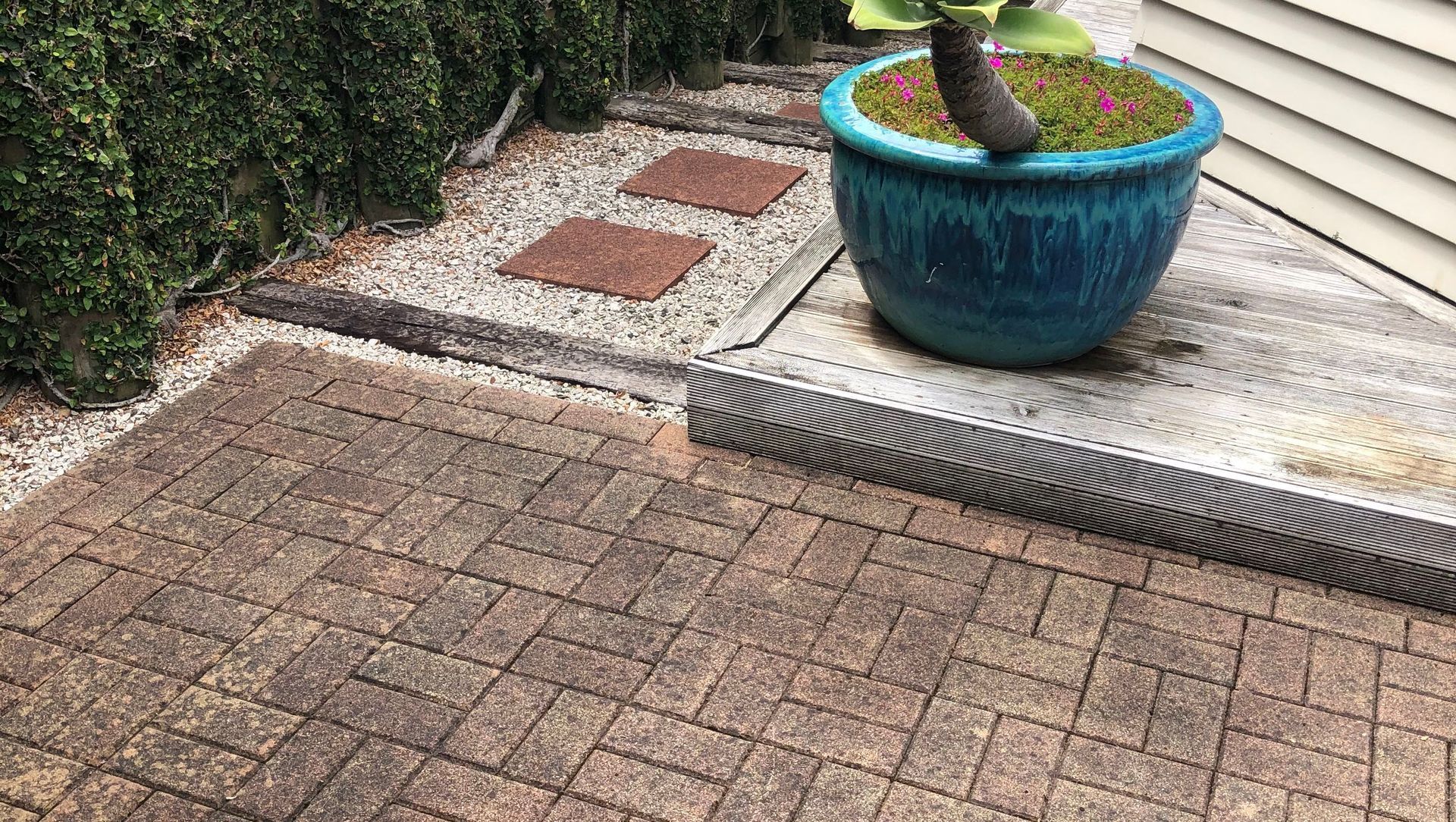 Before and After Photos banner