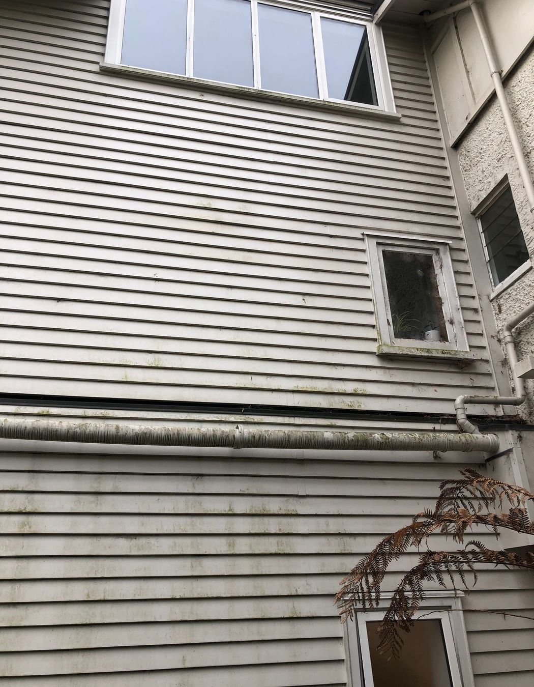 Before and After Photos