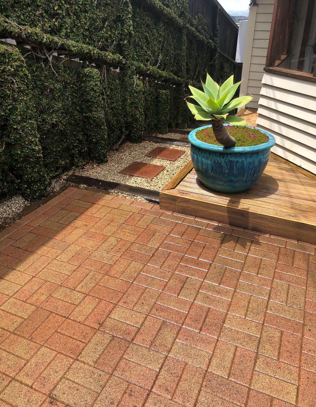 Before and After Photos