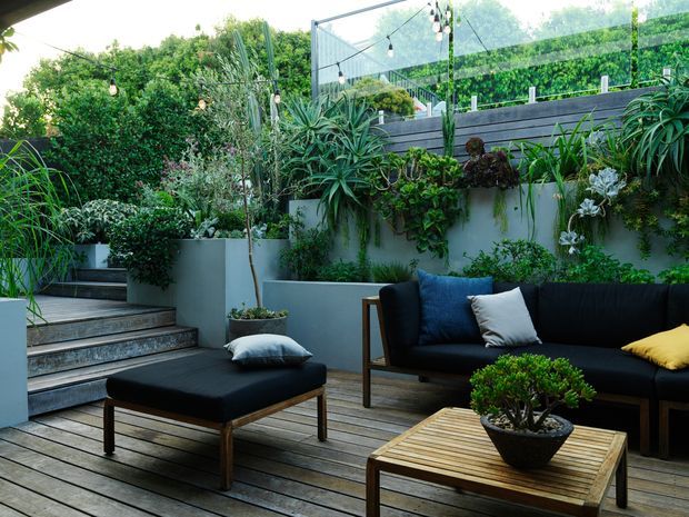 A lush landscaped outdoor entertaining area with a timber deck, raised concrete garden beds, dense layered planting, and a black outdoor sofa and ottoman arranged around a timber coffee table. Festoon lighting and a transparent framed structure overhead add atmosphere and enclosure to the contemporary courtyard-like space.