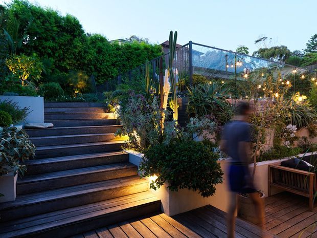 A landscaped outdoor terrace and garden at dusk, featuring broad timber steps, timber decking, raised planters, dense planting, warm integrated step lighting, festoon lights, and a dark metal-framed glazed enclosure or pergola in the background.