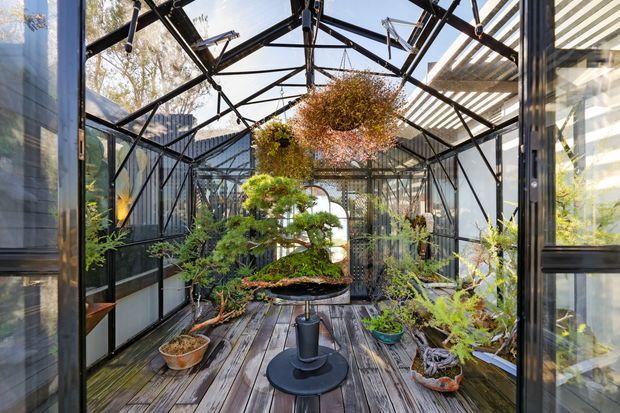 A glass-enclosed conservatory or greenhouse filled with bonsai trees and potted plants. The space has a weathered timber deck floor, dark metal-framed glazing, exposed black structural framing, and a translucent corrugated roof, creating a botanical indoor-outdoor retreat.