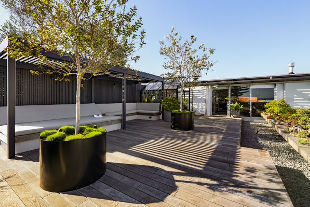 A modern landscaped rooftop or elevated terrace with dark timber decking, built-in bench seating beneath a slender pergola, large black planters with small trees, raised garden beds, and a low contemporary building with extensive glazing in the background. Strong linear shadows create a bright, open outdoor entertaining space.