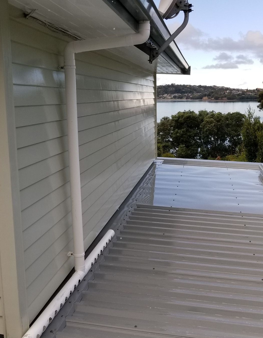 Before and After Photos