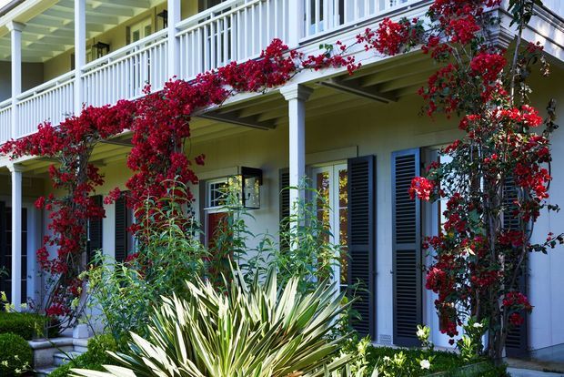 Exterior view of a two-storey residential building with white painted walls, deep verandas, square columns, white balustrades, dark louvred shutters, and climbing red flowering vines framing the balconies and openings. Lush landscaped planting occupies the foreground.