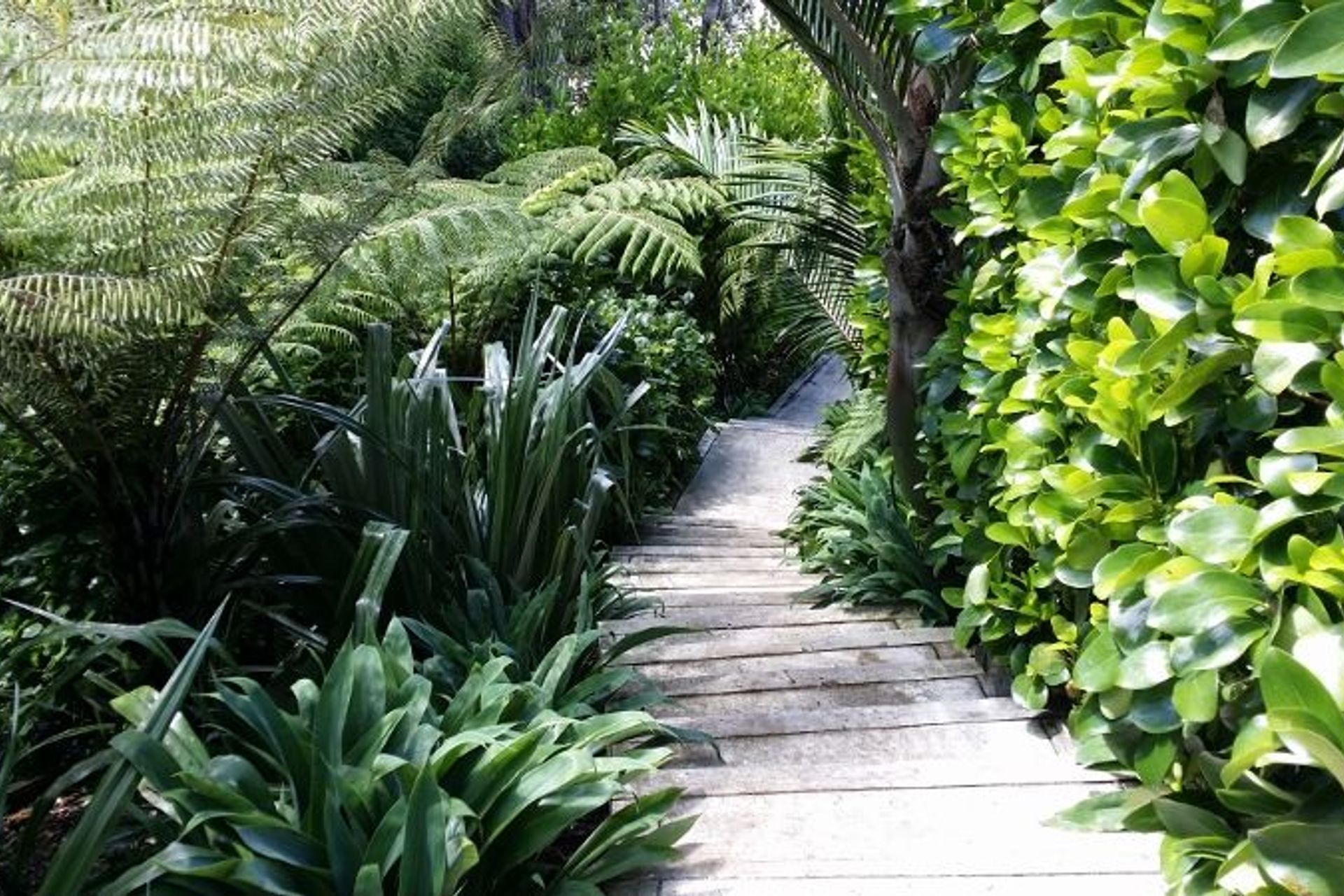 Coastal and lifestyle