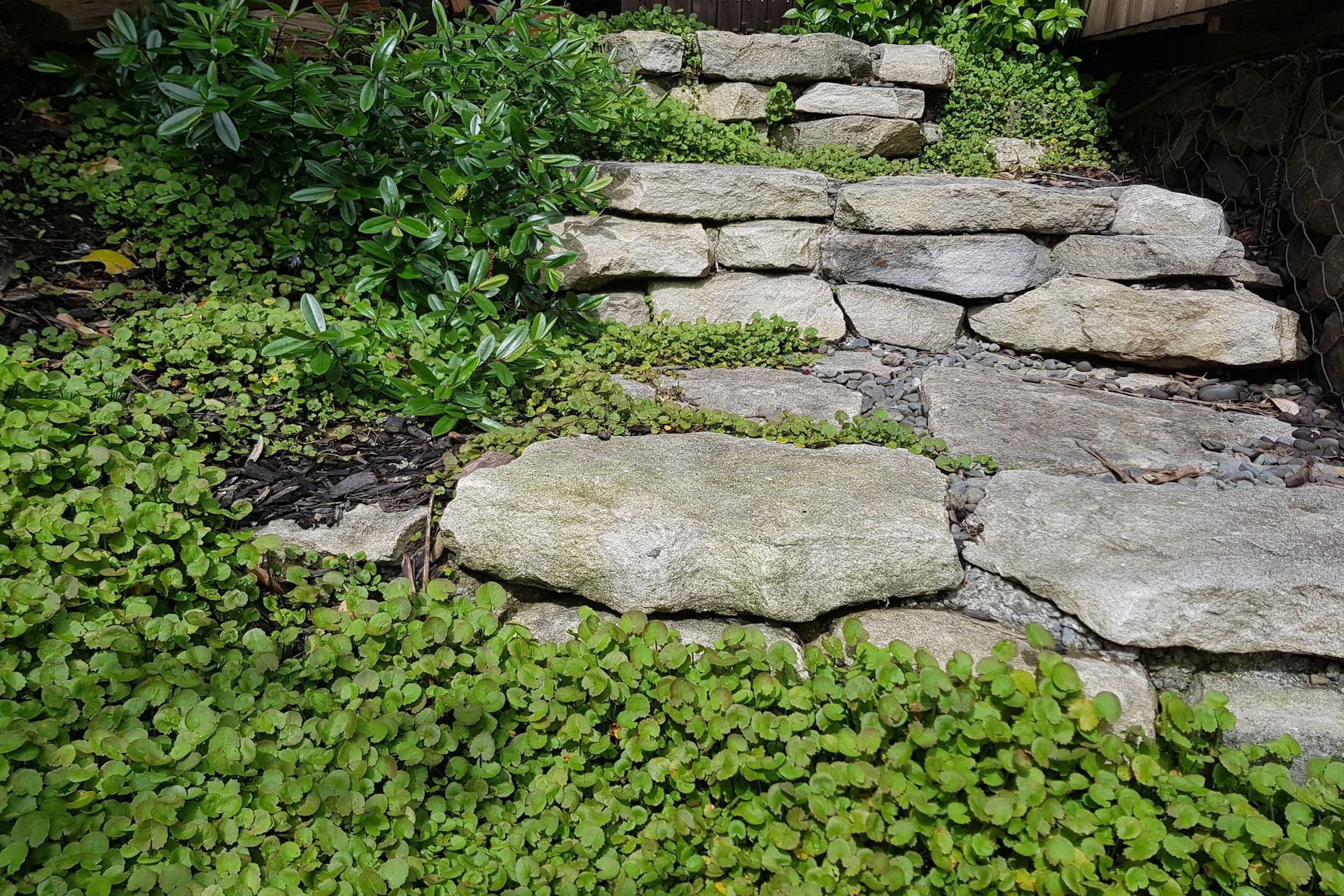 Jackie Meiring Photography