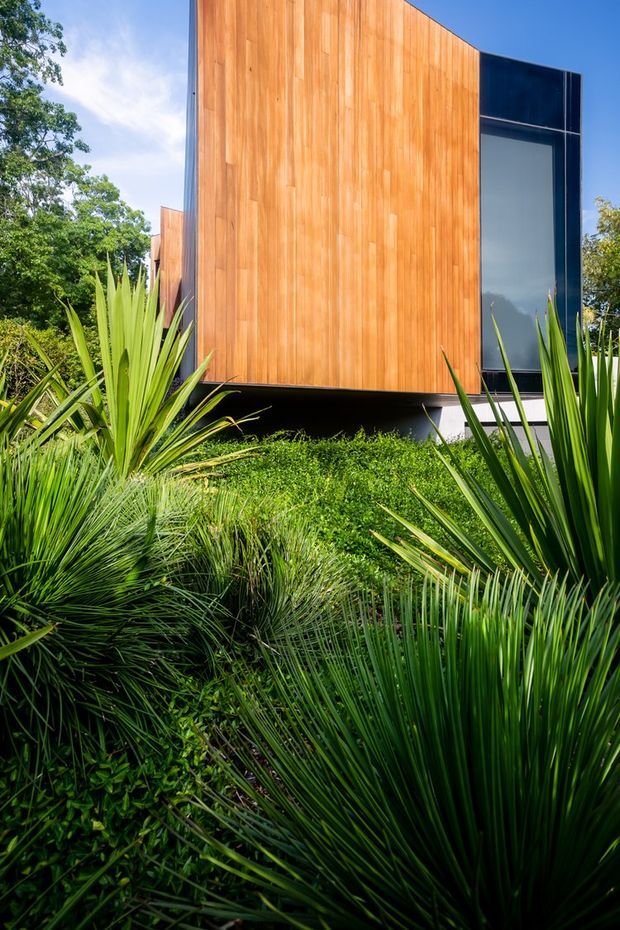 A close exterior view of a contemporary building featuring a warm vertical timber-clad facade, dark framing, and a tall glazed opening. The structure is partially elevated above a landscaped garden filled with dense green, architectural foliage and grasses.