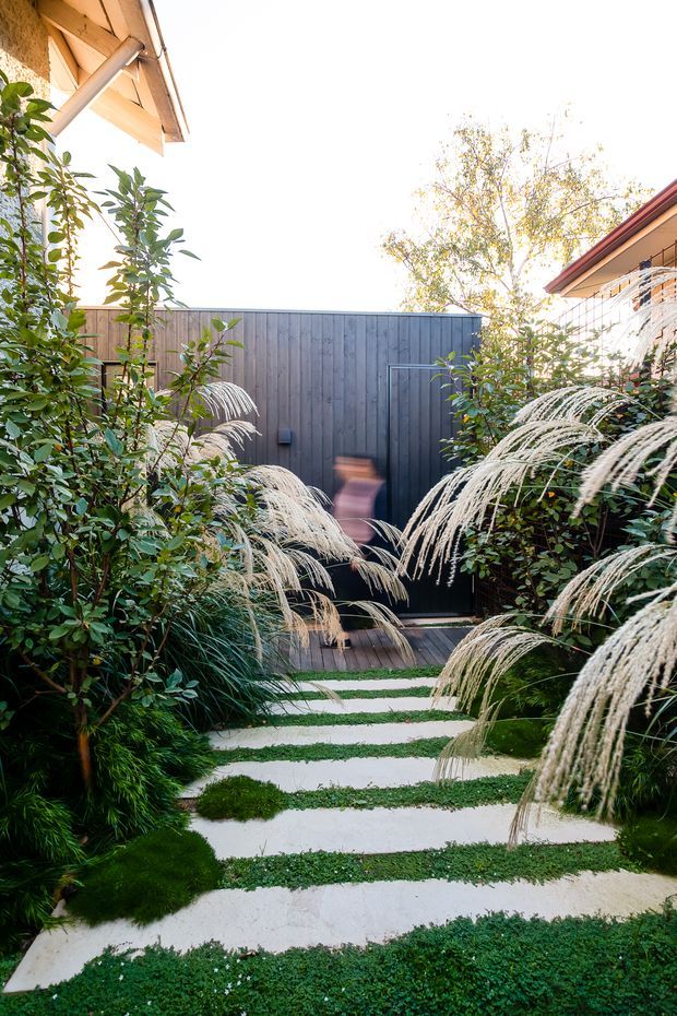 A lush, intimate courtyard garden with a stepping-stone path of broad pale concrete slabs set into low green groundcover. Dense planting includes ornamental grasses with feathery cream plumes, shrubs, and small trees. Dark vertical timber screening and a small timber deck lead toward a black gate or door at the rear, framed by adjacent residential roof eaves and timber cladding. The image has a calm, private, landscaped character with warm natural light.