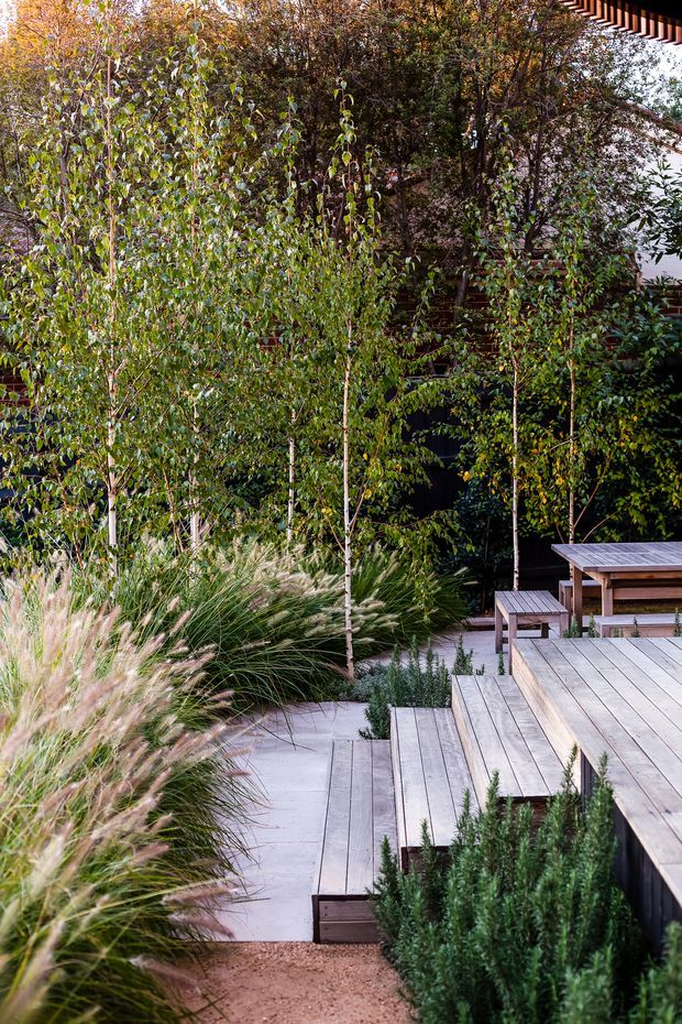 A landscaped outdoor garden courtyard with pale timber decking arranged in stepped platforms, integrated bench seating and a picnic-style table. Young deciduous trees, dense planting and ornamental grasses surround a paved path, creating a natural, layered garden setting.