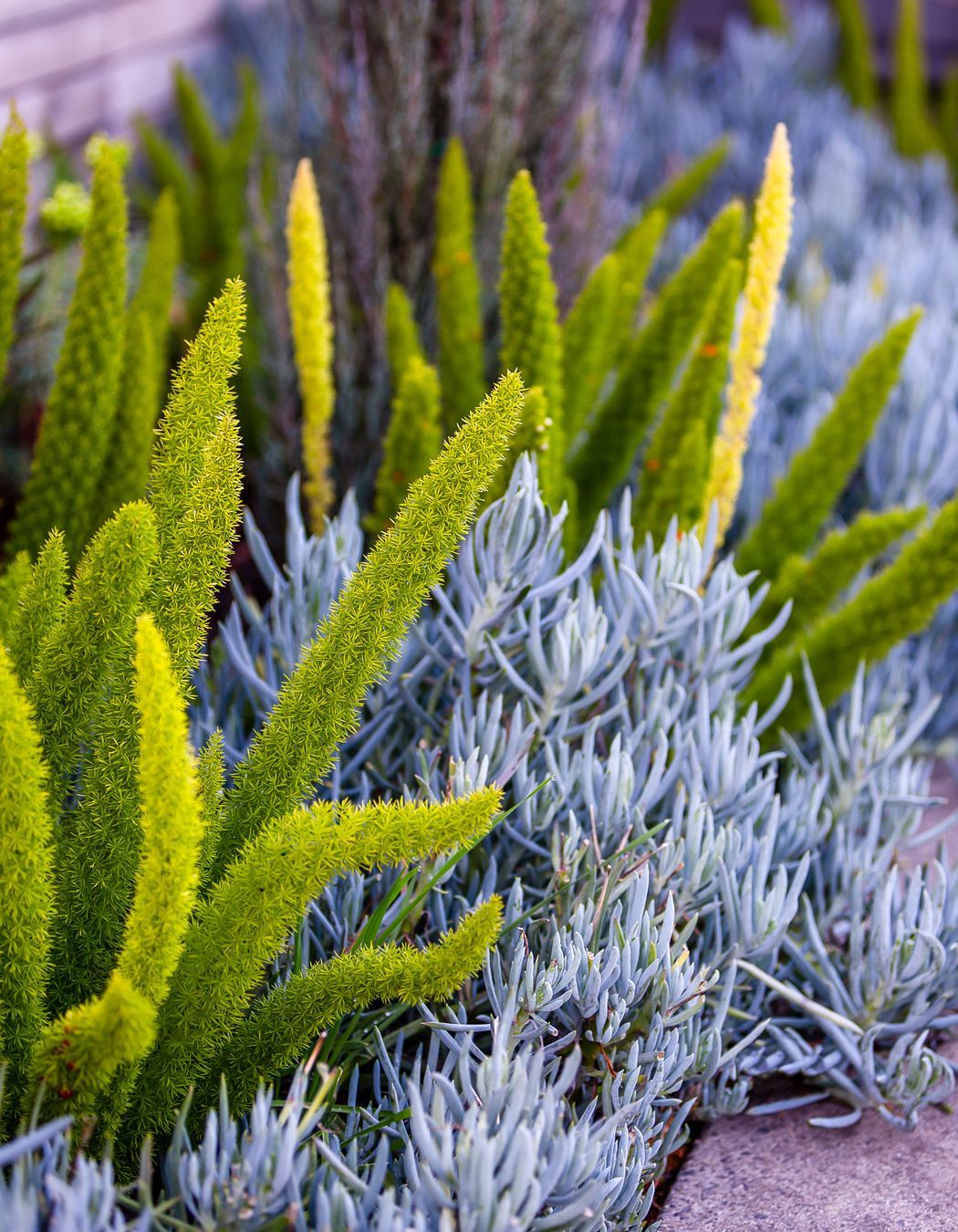 Photography: Erik Holt Photography