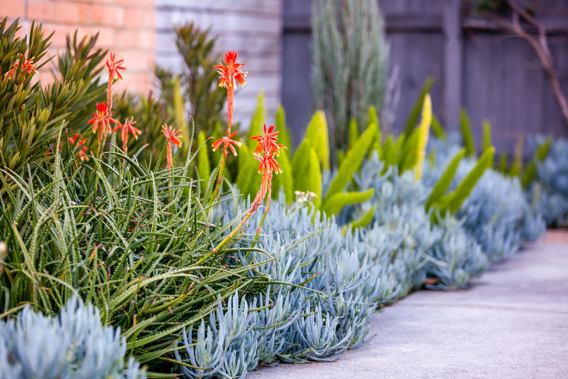 Photography: Erik Holt Photography