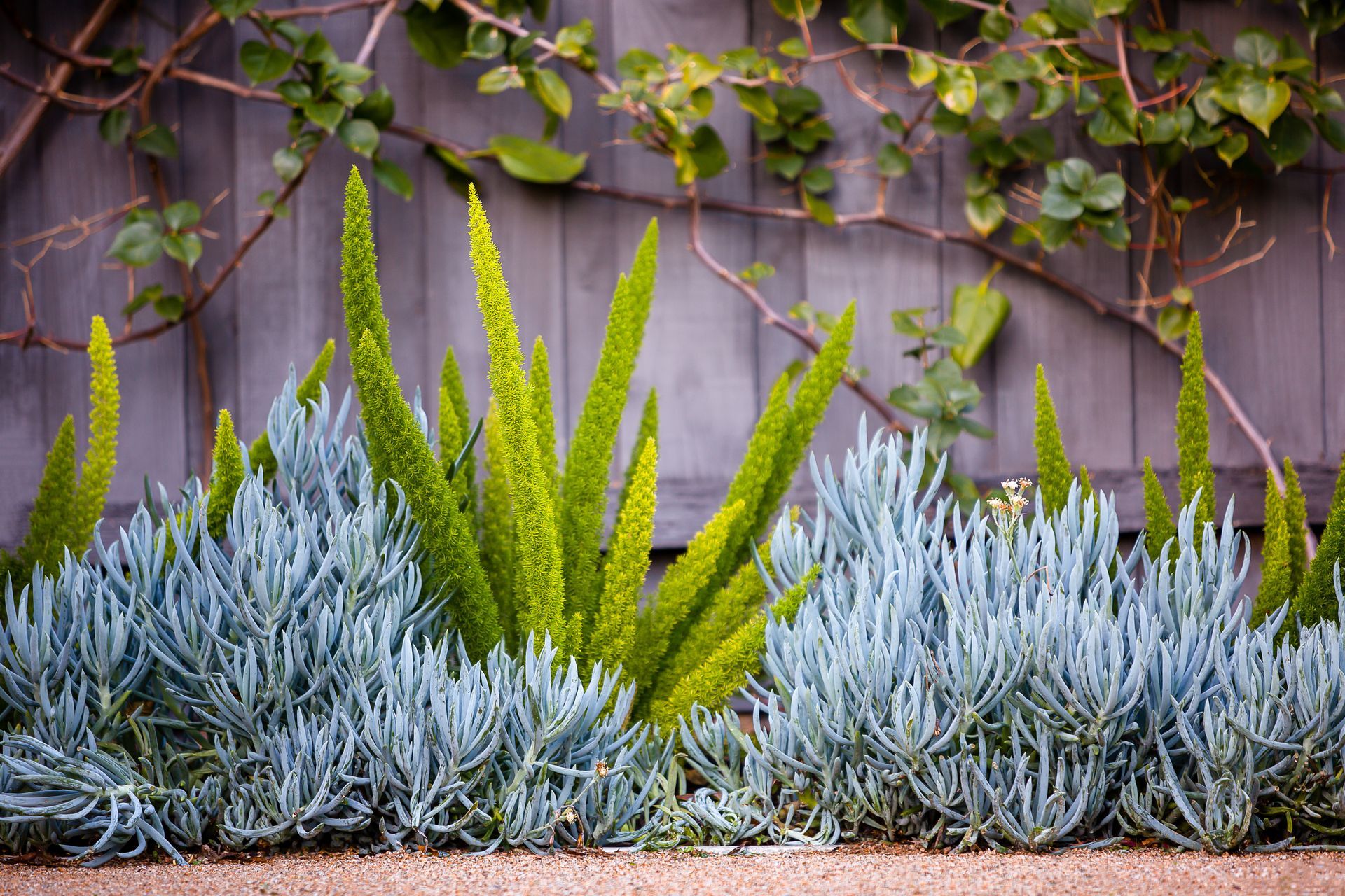 Photography: Erik Holt Photography