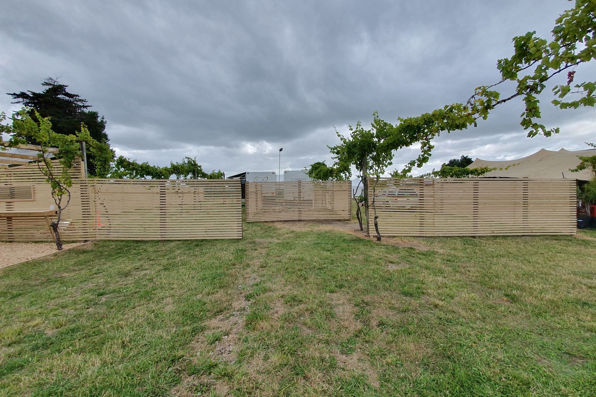 Rhythm & Vines VIP section