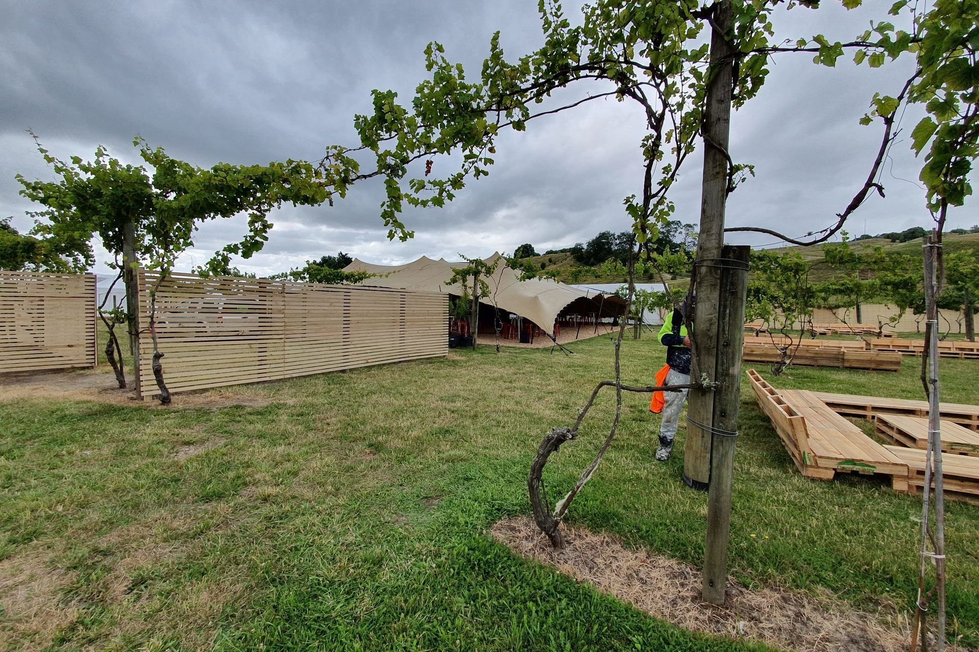 Rhythm & Vines VIP section