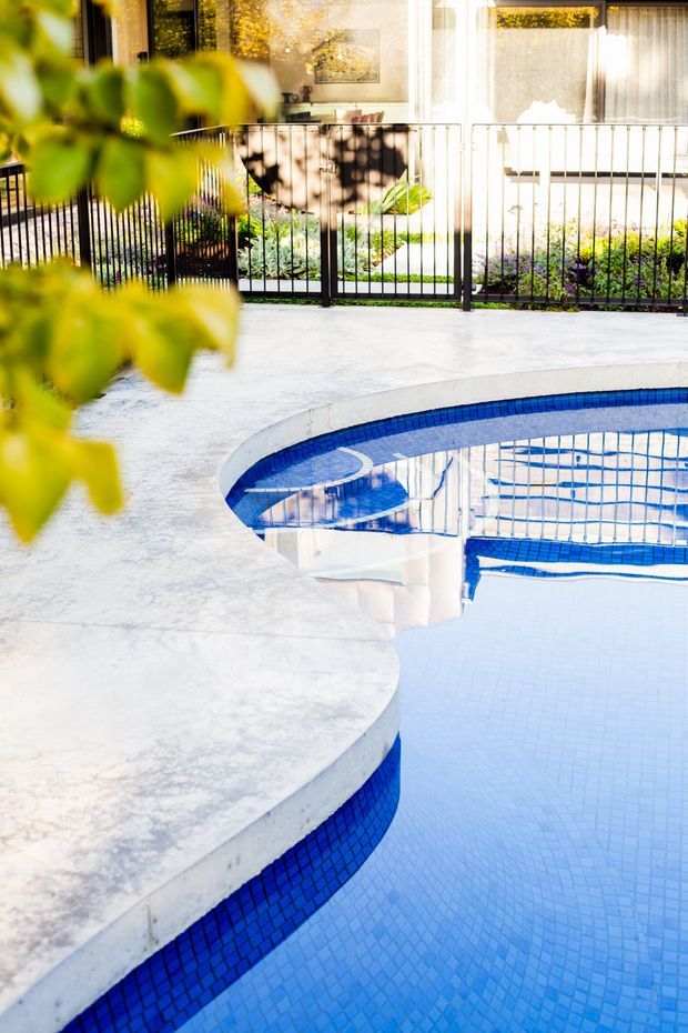 A bright outdoor swimming pool with a curved white concrete surround and blue mosaic tile edging. Black metal fencing separates the pool from a landscaped garden and a glazed residential building in the background. Reflections of the fence and facade are visible in the calm water, while leafy foliage partially frames the foreground.