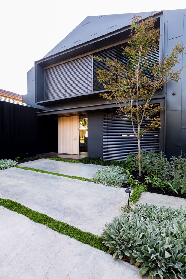 A contemporary two-storey residential facade clad in dark grey panels, with a sharply angled roofline, large horizontal louvred window screens, and a recessed entry door. Pale concrete paths are separated by narrow strips of low green groundcover, with layered drought-tolerant planting and a slender deciduous tree in the front garden.