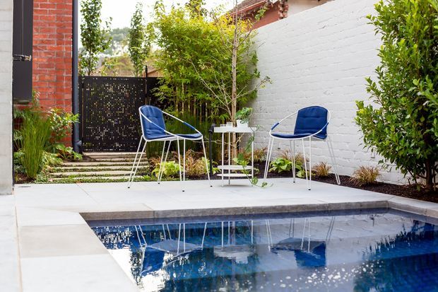 A compact landscaped courtyard with a rectangular swimming pool, pale paved surrounds, a white-painted brick boundary wall, and a small outdoor seating area with two blue chairs and a side table. Layered planting, stepping stones, and a perforated privacy gate create a contemporary urban garden setting.