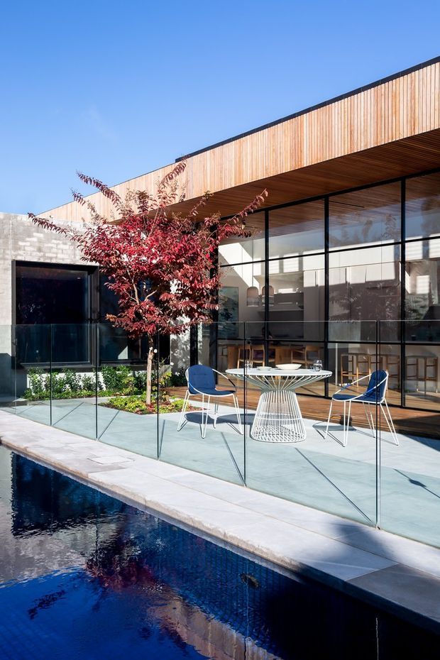 Contemporary courtyard-style residence with a timber-clad flat roof, expansive black-framed floor-to-ceiling glazing, and a minimalist concrete terrace overlooking a narrow swimming pool. Outdoor dining furniture and a red-leaf ornamental tree add colour to the clean architectural composition.