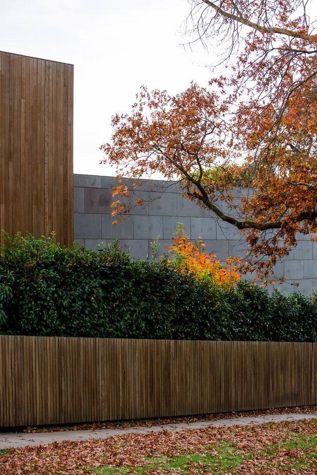 Exterior architectural view of a contemporary property boundary, featuring vertical timber cladding and fencing combined with a large grey concrete or stone block wall. Dense evergreen hedging and mature autumn foliage partially screen the building, creating a layered garden frontage.