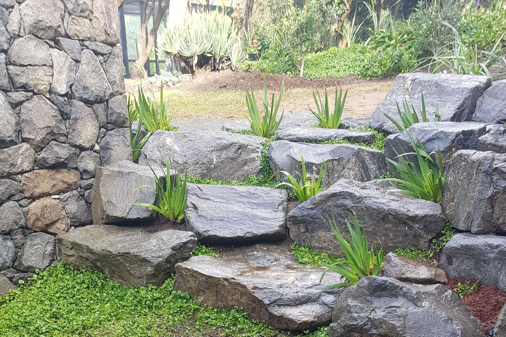 Jackie Meiring Photography