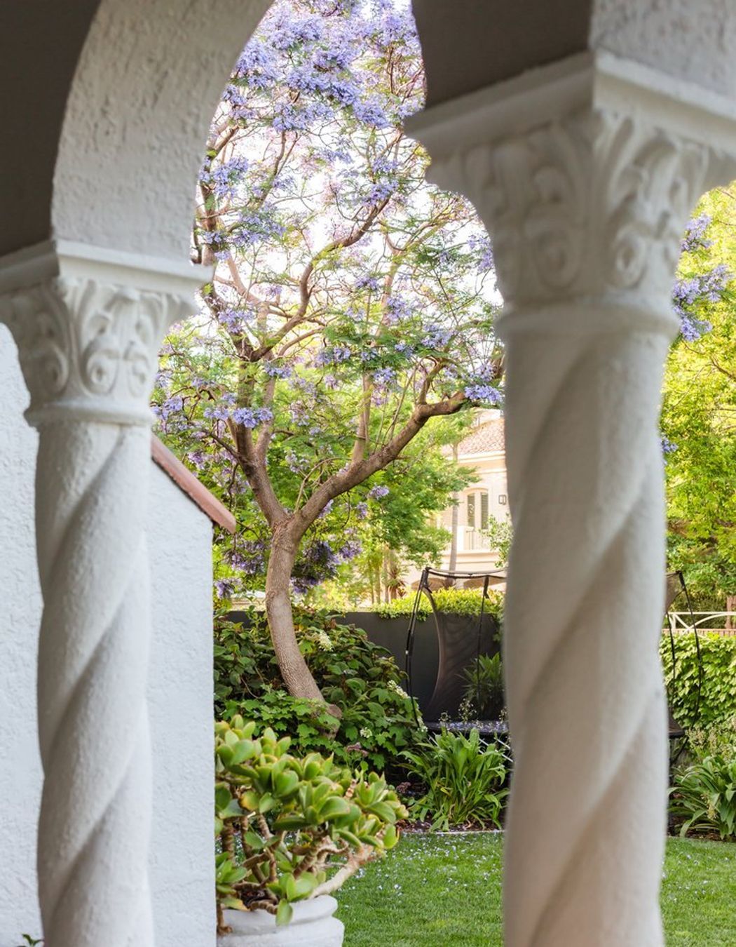 Bougainvillea Garden